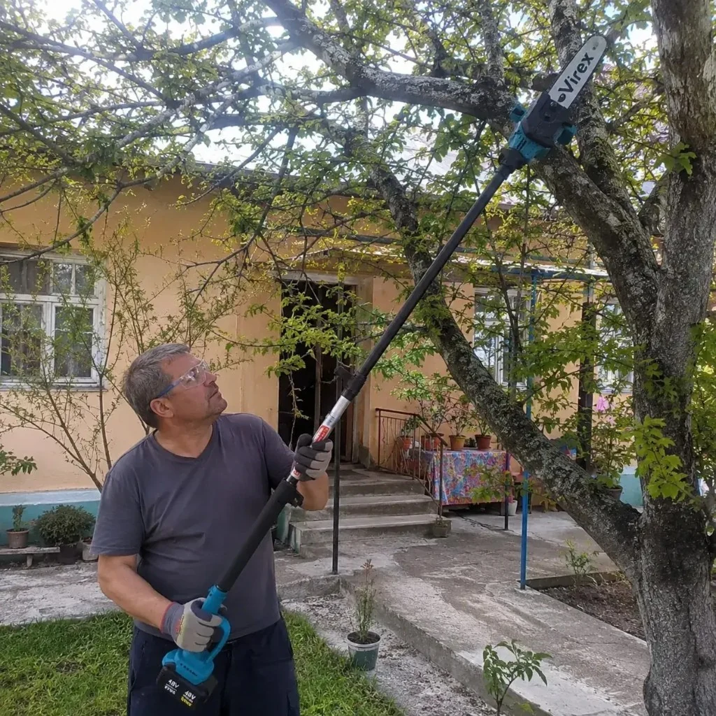Virex pruning high tree branches